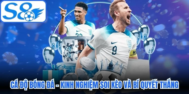 Cá Độ Bóng Đá