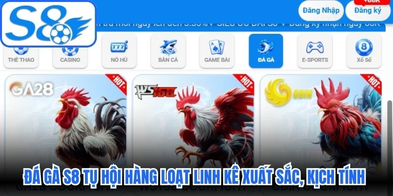 Đá gà S8 tụ hội hàng loạt linh kê xuất sắc, kịch tính từng phút giây